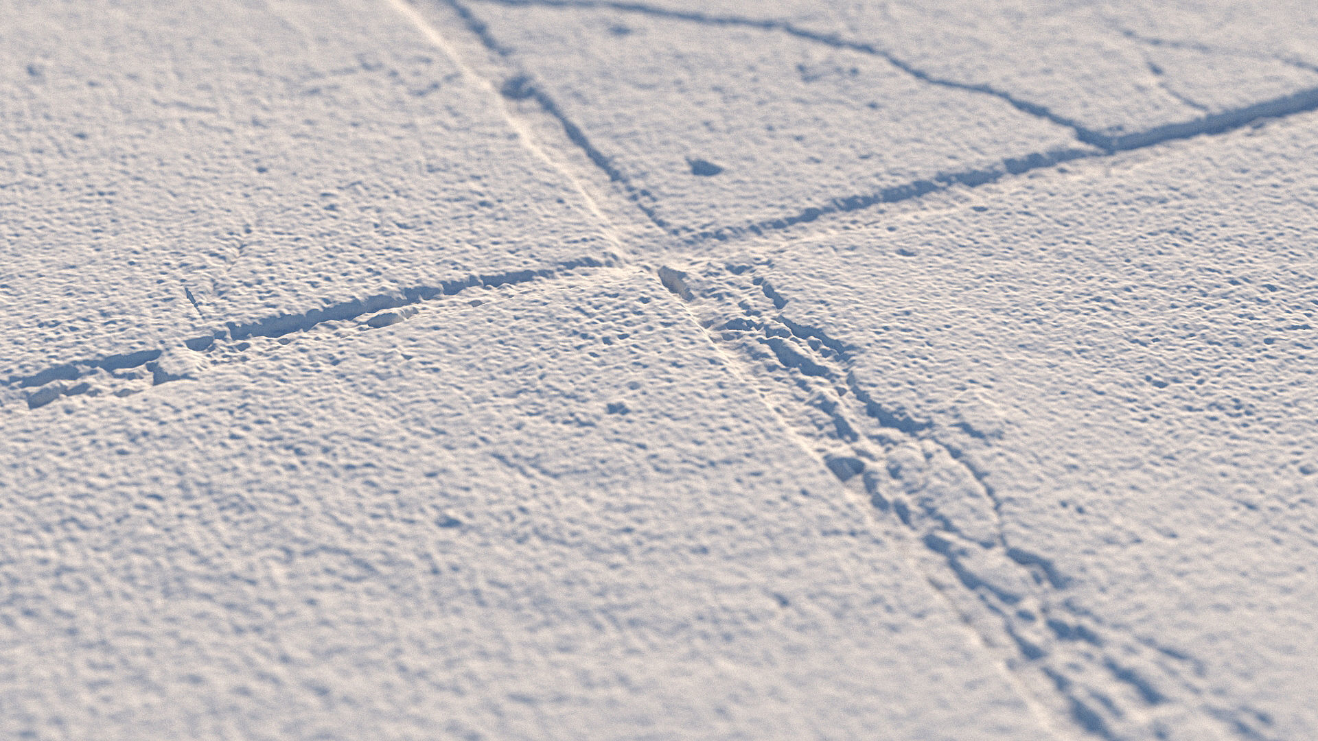 Photoscanned pavement texture collection 3D model_39