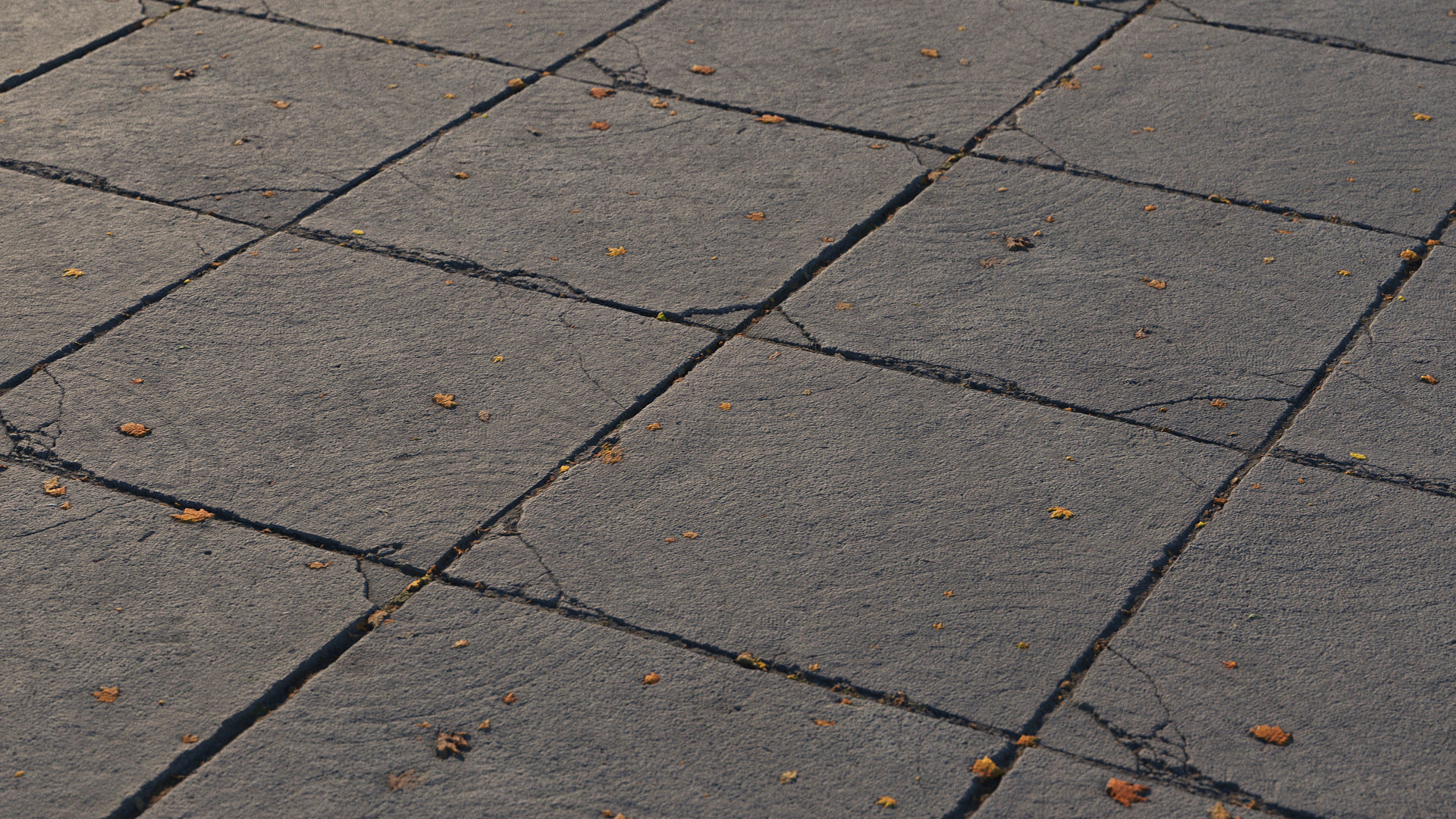 Photoscanned pavement texture collection 3D model_36