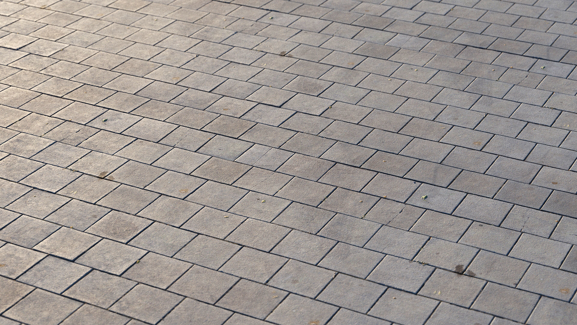 Photoscanned pavement texture collection 3D model_22