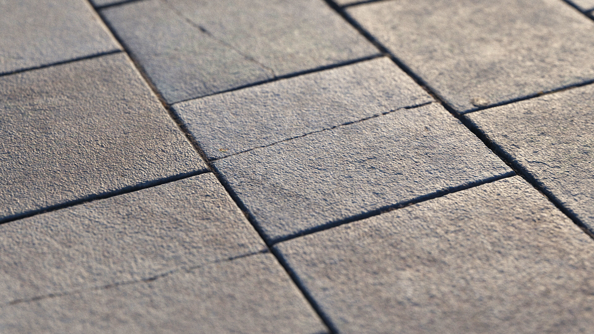 Photoscanned pavement texture collection 3D model_24