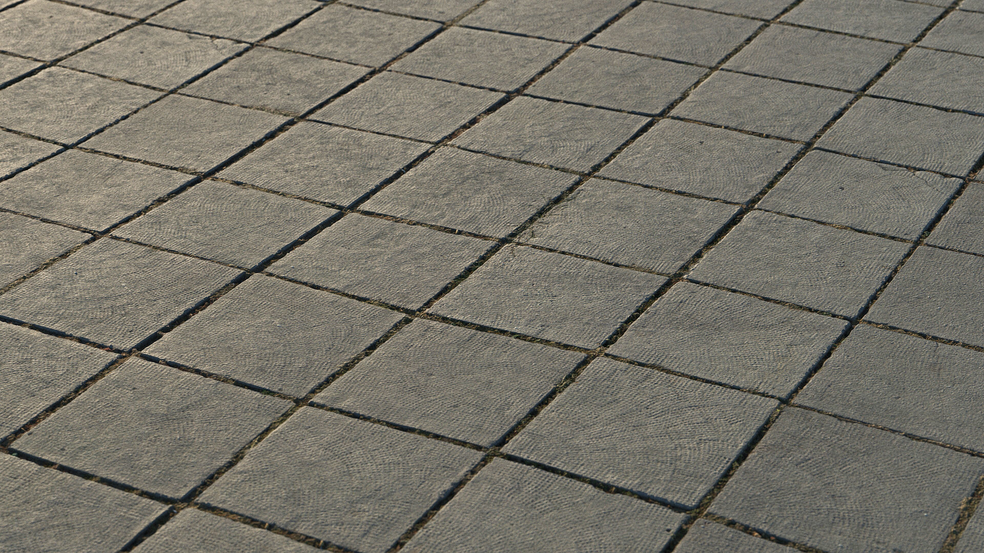 Photoscanned pavement texture collection 3D model_29
