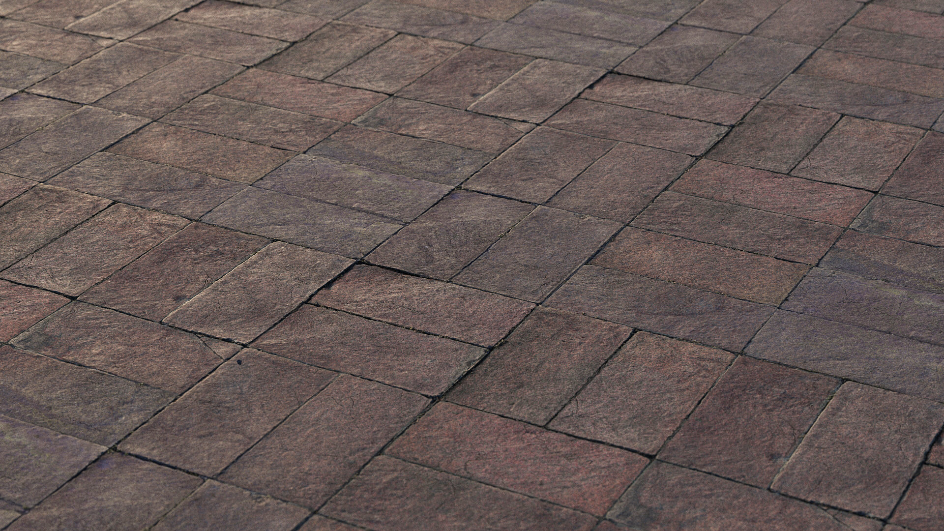 Photoscanned pavement texture collection 3D model_15