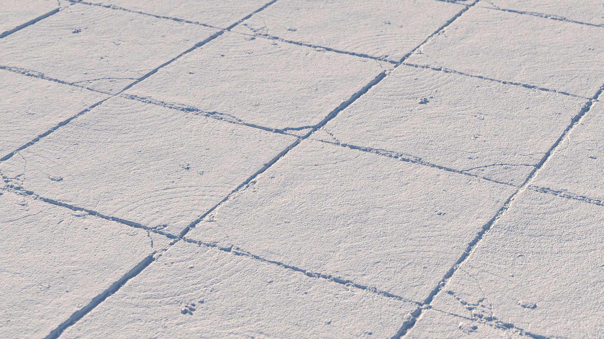 Photoscanned pavement texture collection 3D model_37