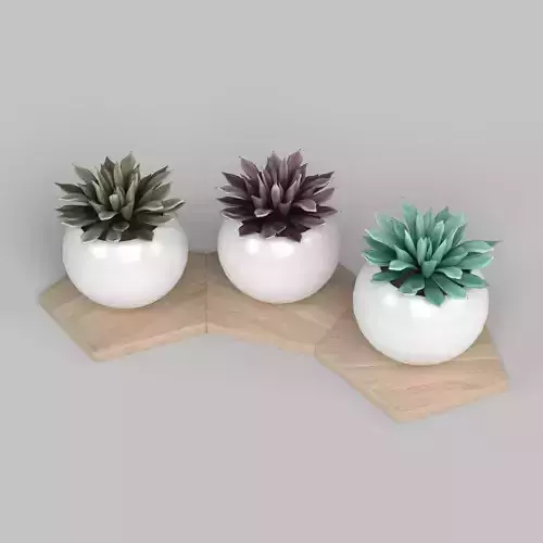 Potted Plant Decoration