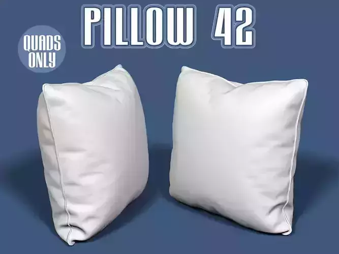 Pillow 42