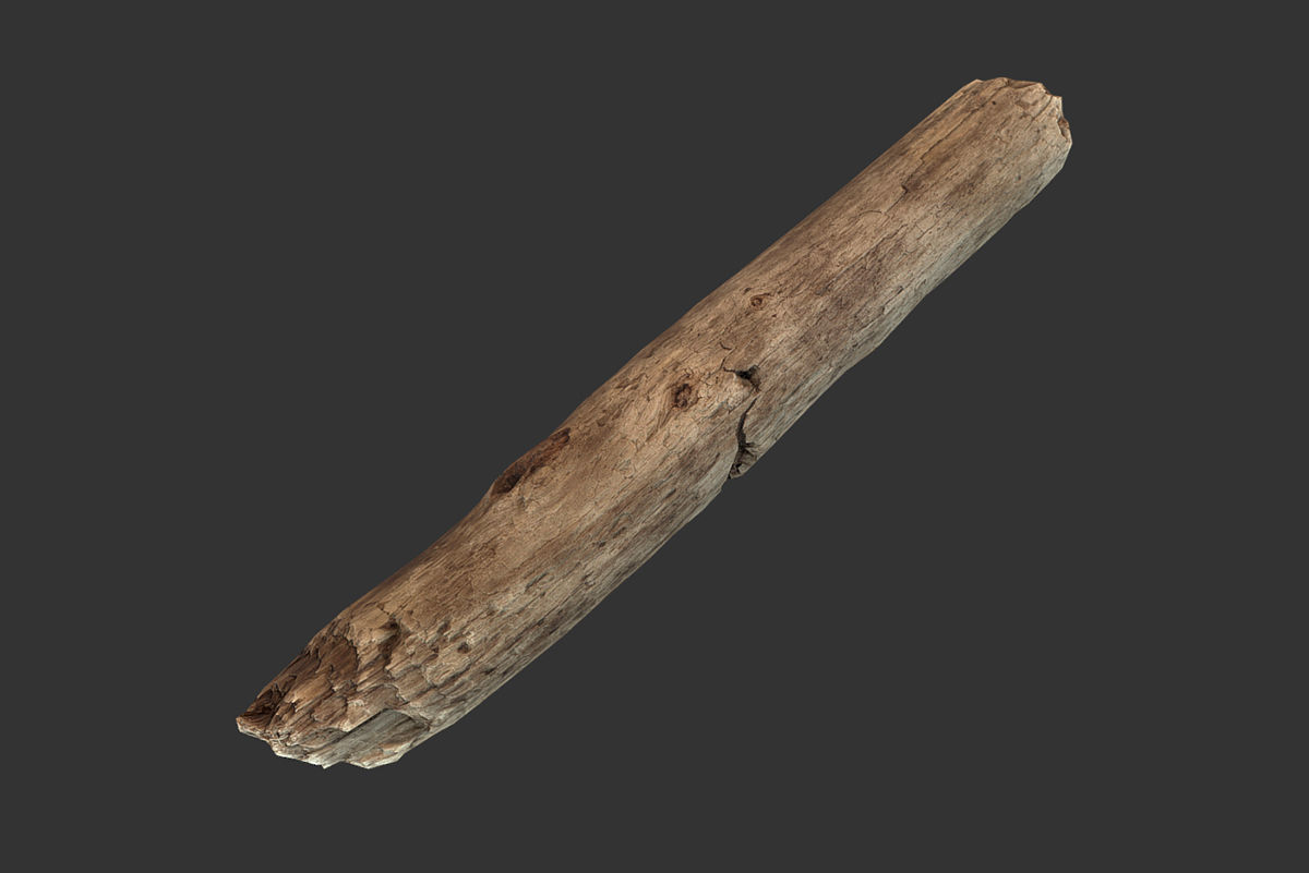 Broken Stick Low-poly 3D model_3