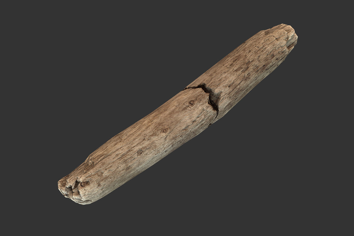 Broken Stick Low-poly 3D model_2