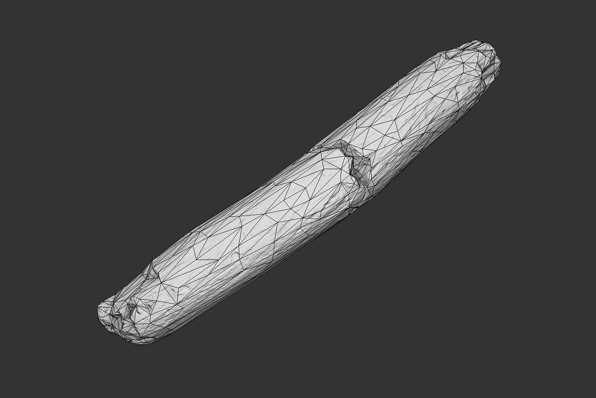 Broken Stick Low-poly 3D model_4