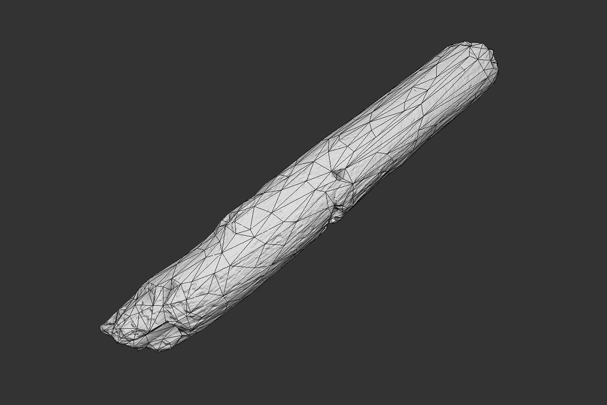 Broken Stick Low-poly 3D model_5