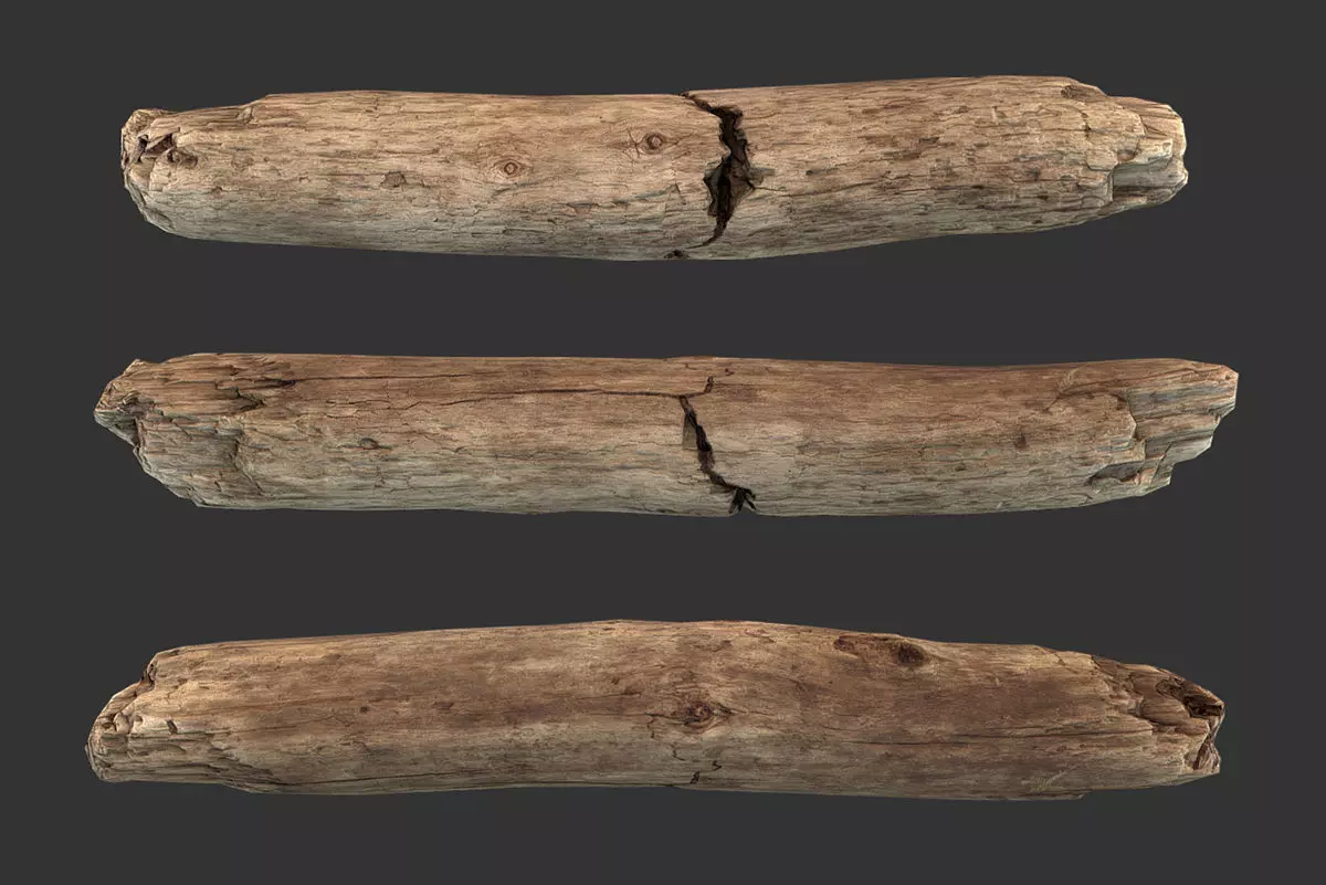 Broken Stick Low-poly 3D model_0