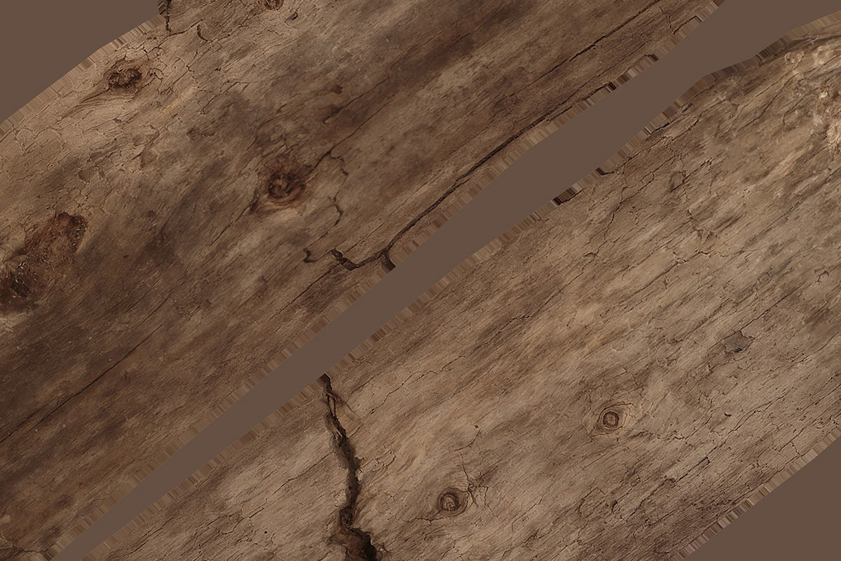 Broken Stick Low-poly 3D model_6