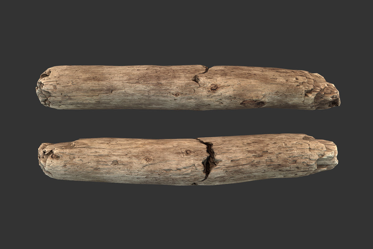 Broken Stick Low-poly 3D model_1