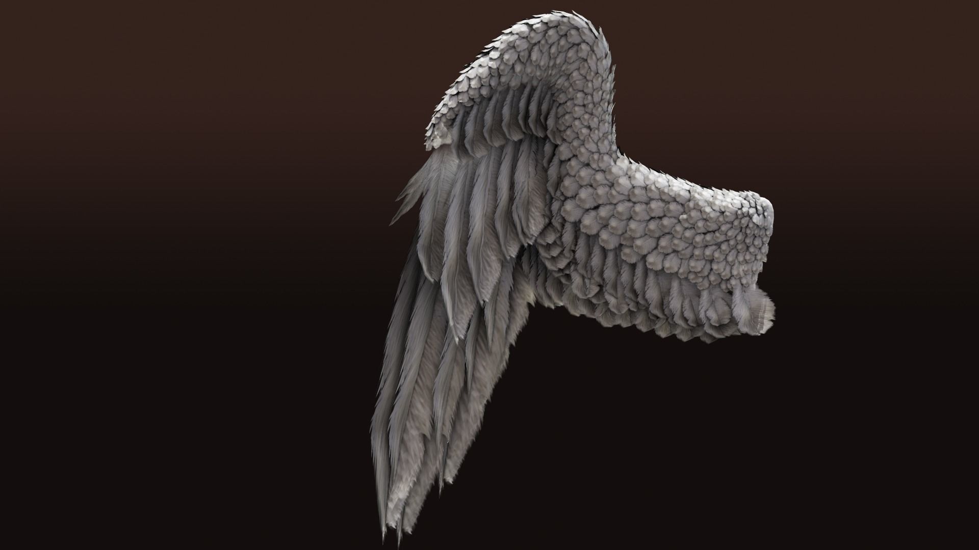 Pair of Bird Wings C4D  Low-poly 3D model_5