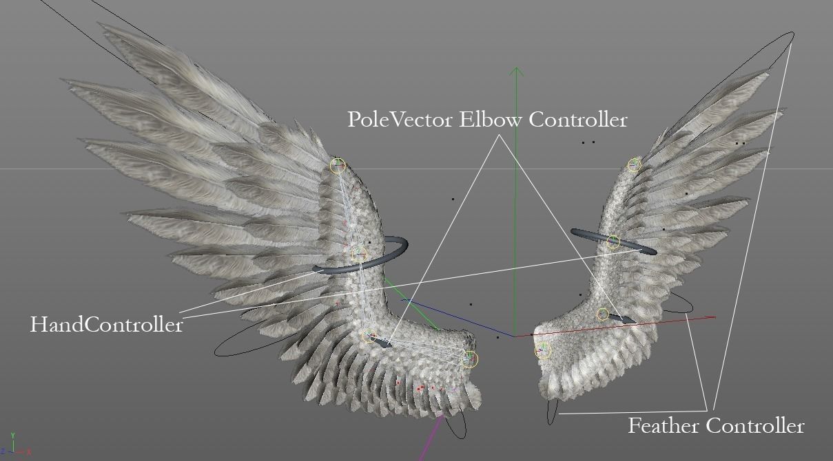 Pair of Bird Wings C4D  Low-poly 3D model_8