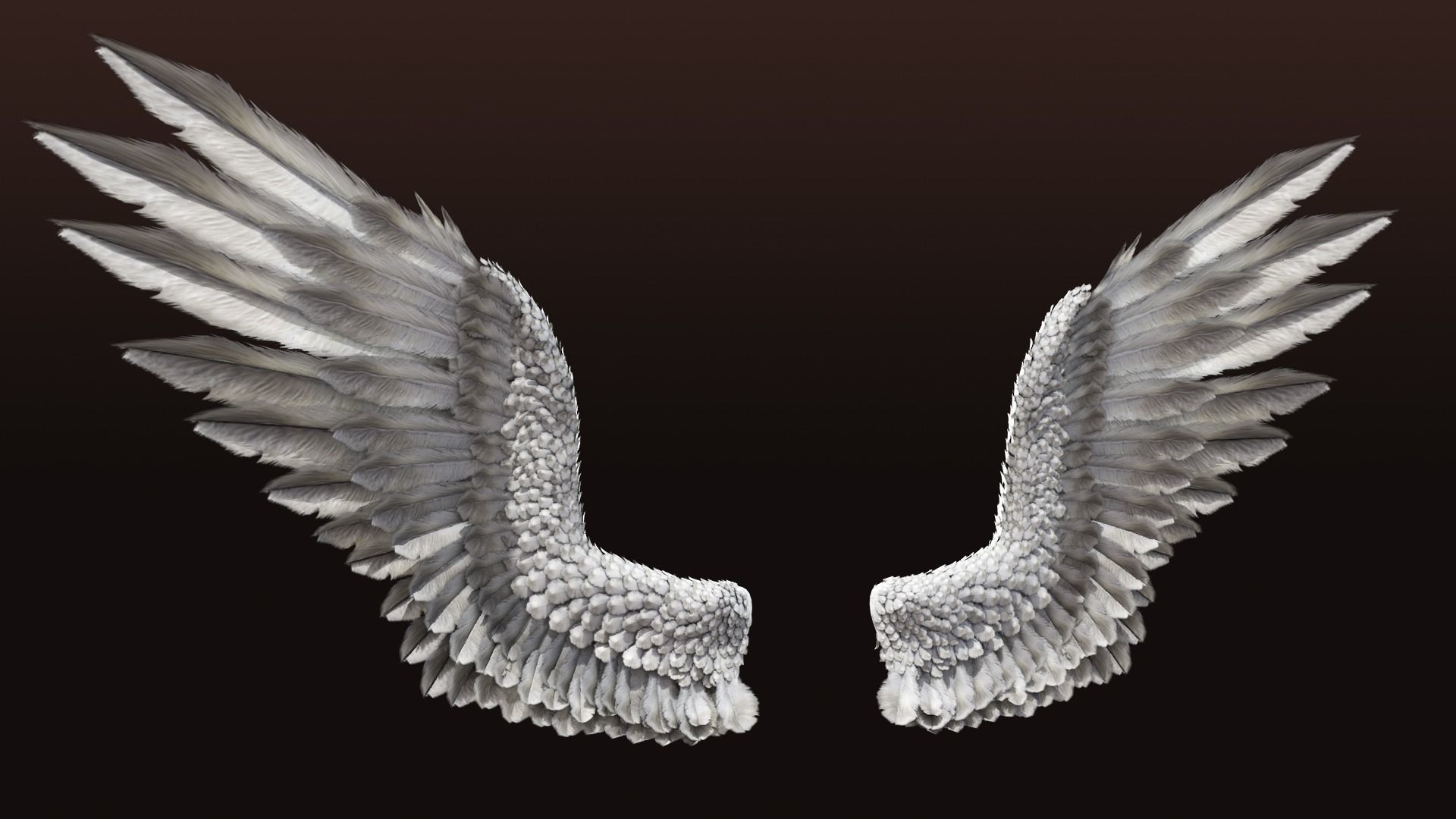 Pair of Bird Wings C4D  Low-poly 3D model_3