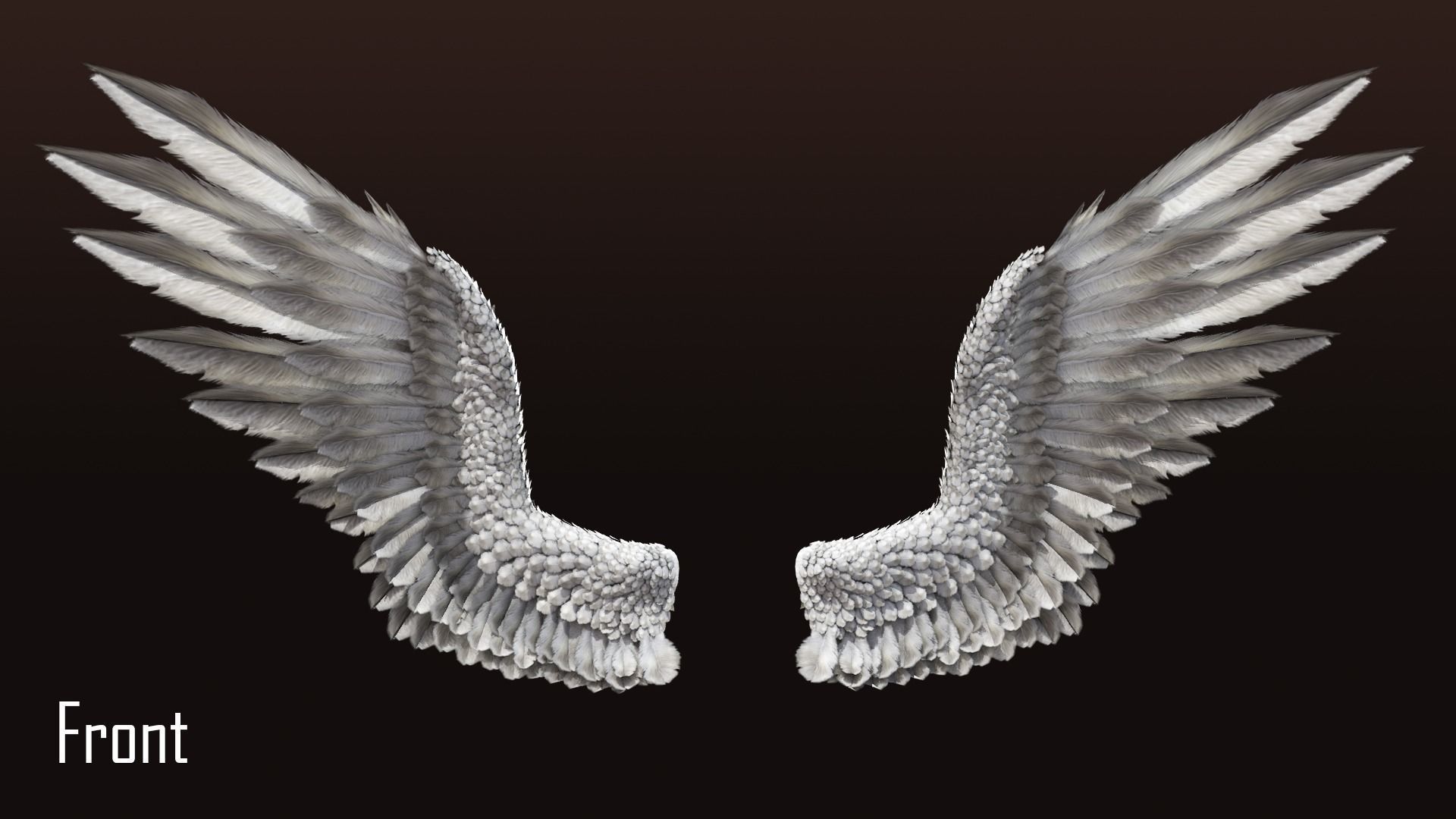 Pair of Bird Wings C4D  Low-poly 3D model_4