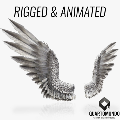 Pair of Bird Wings C4D  Low-poly 3D model