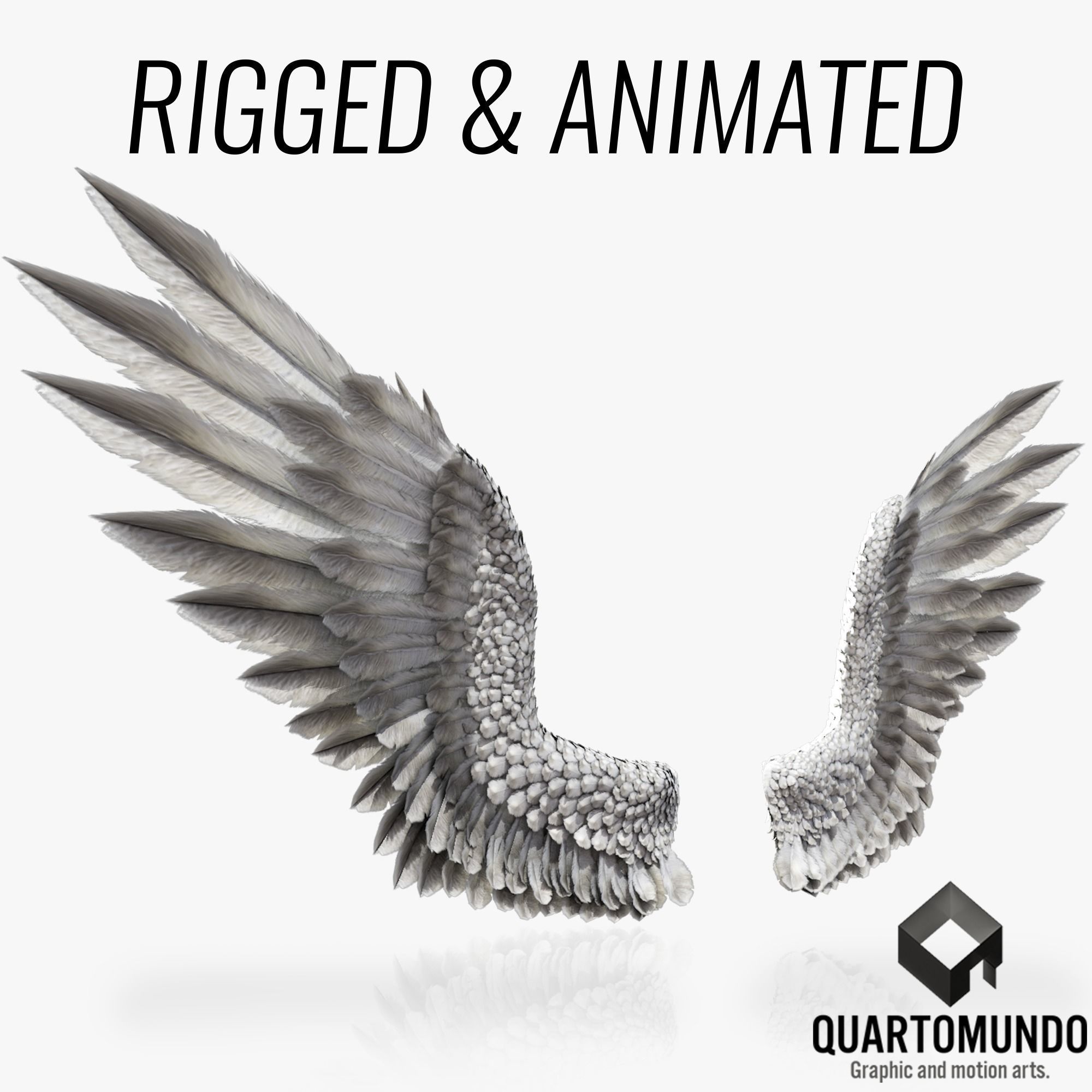 Pair of Bird Wings C4D  Low-poly 3D model_0