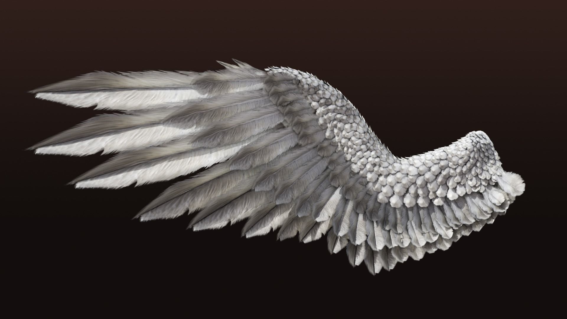 Pair of Bird Wings C4D  Low-poly 3D model_6