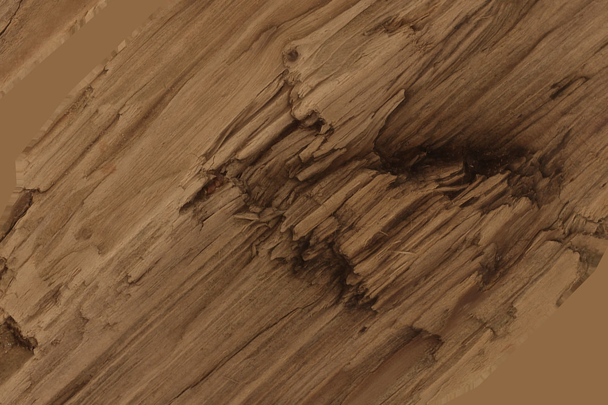 Wooden Plank Debris Low-poly 3D model_11