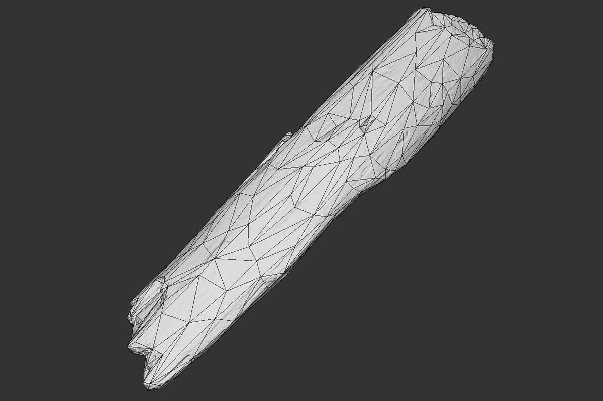 Broken Wood Plank Low-poly 3D model_9