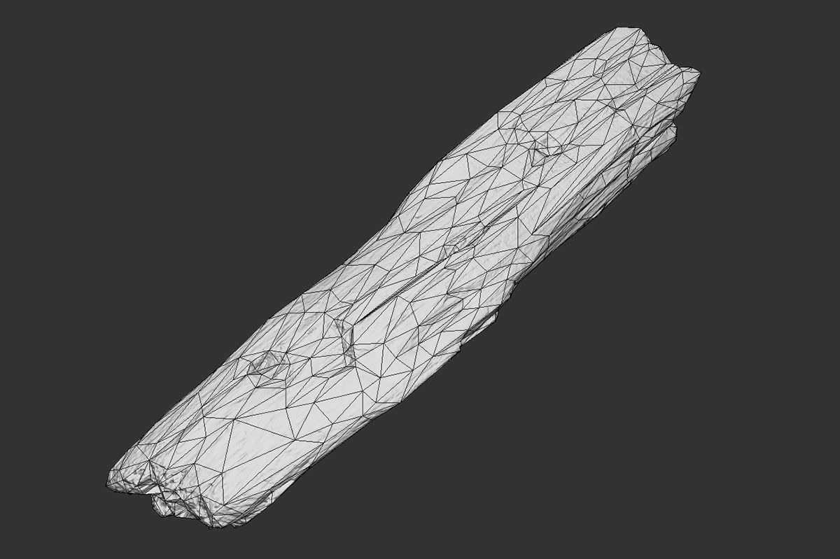 Broken Wood Plank Low-poly 3D model_7