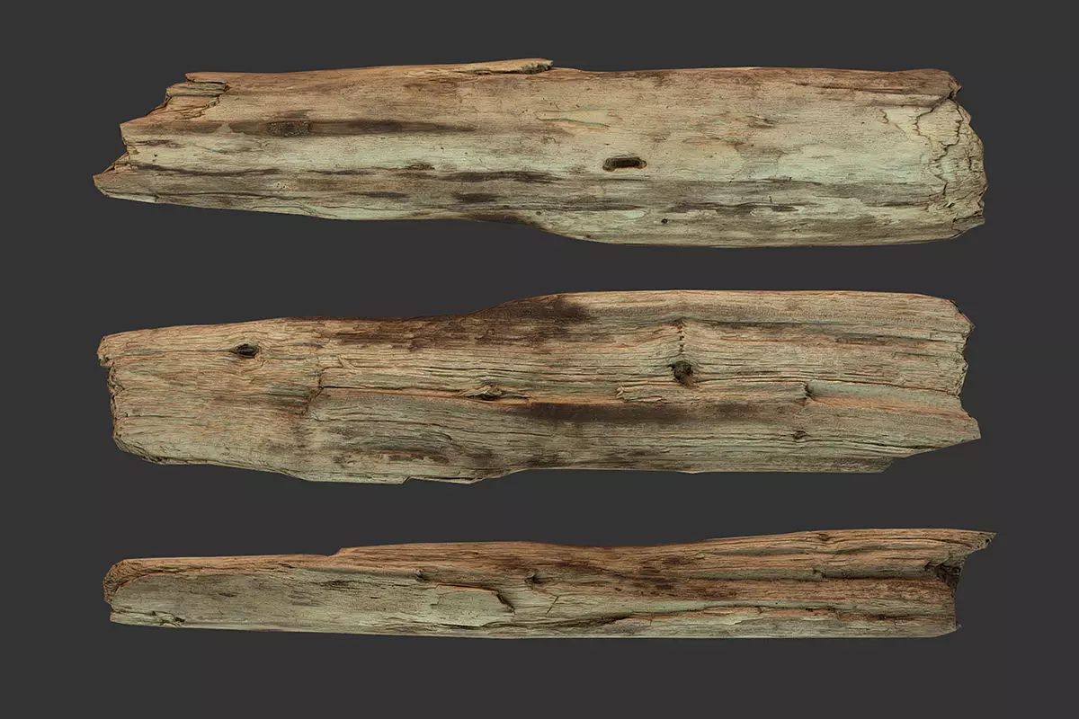 Broken Wood Plank Low-poly 3D model_0