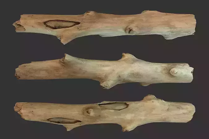 Stick Piece Low-poly 3D model
