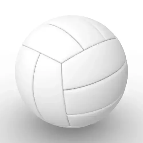 Volleyball ball