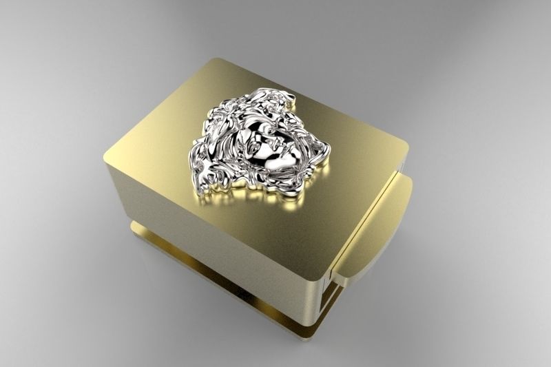 CHIUSURA O FIBIA COME VOLETE  3D print model_1