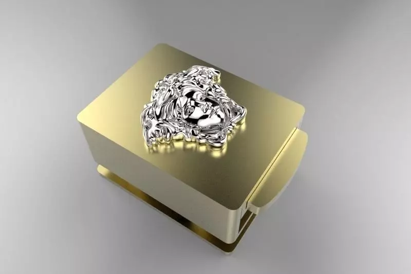 CHIUSURA O FIBIA COME VOLETE  3D print model_0