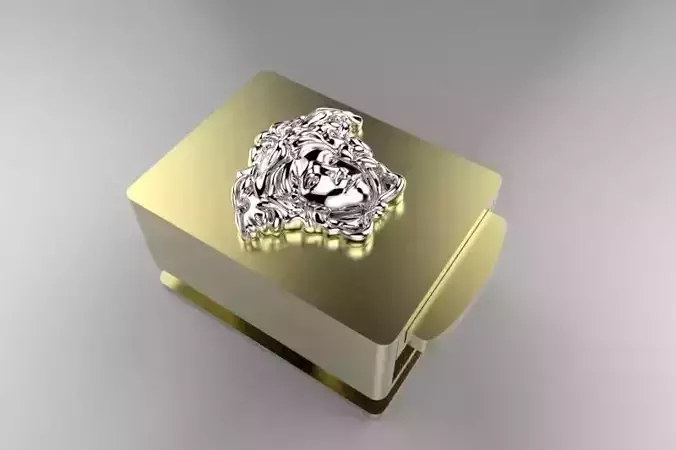 CHIUSURA O FIBIA COME VOLETE 