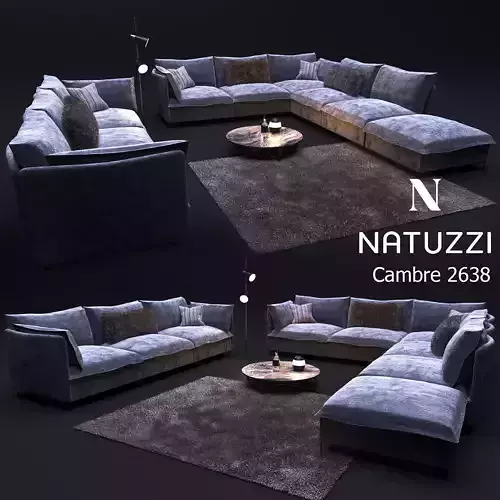 Sofa in modern style  NATUZZI Cambre 2638