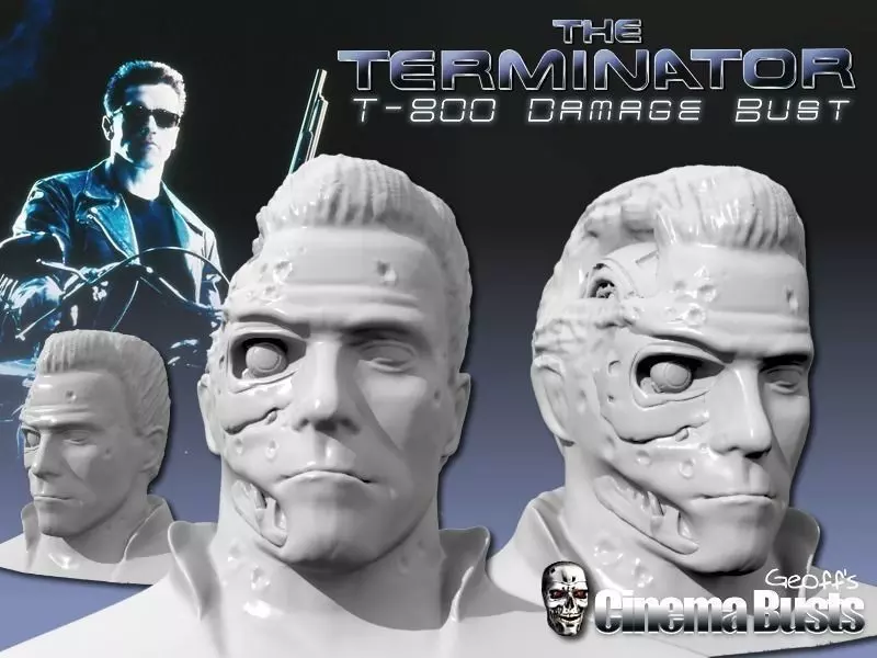 T-800 Damage Bust 28MB Free 3D print model