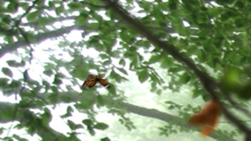butterfly broken chrysalis 3D model_11