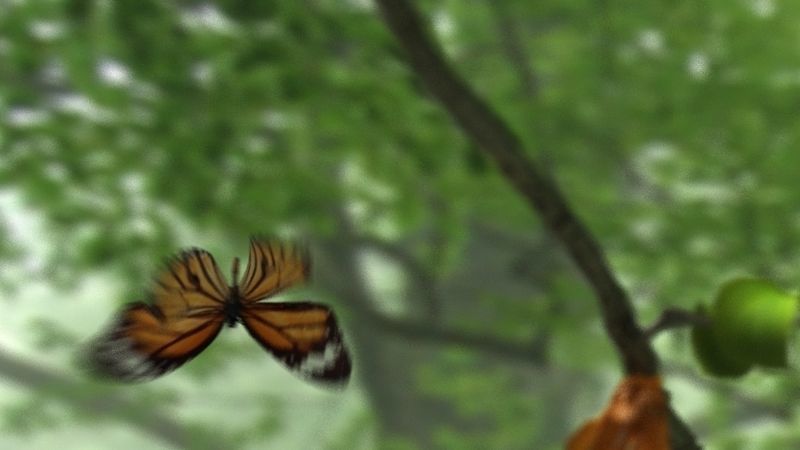 butterfly broken chrysalis 3D model_9