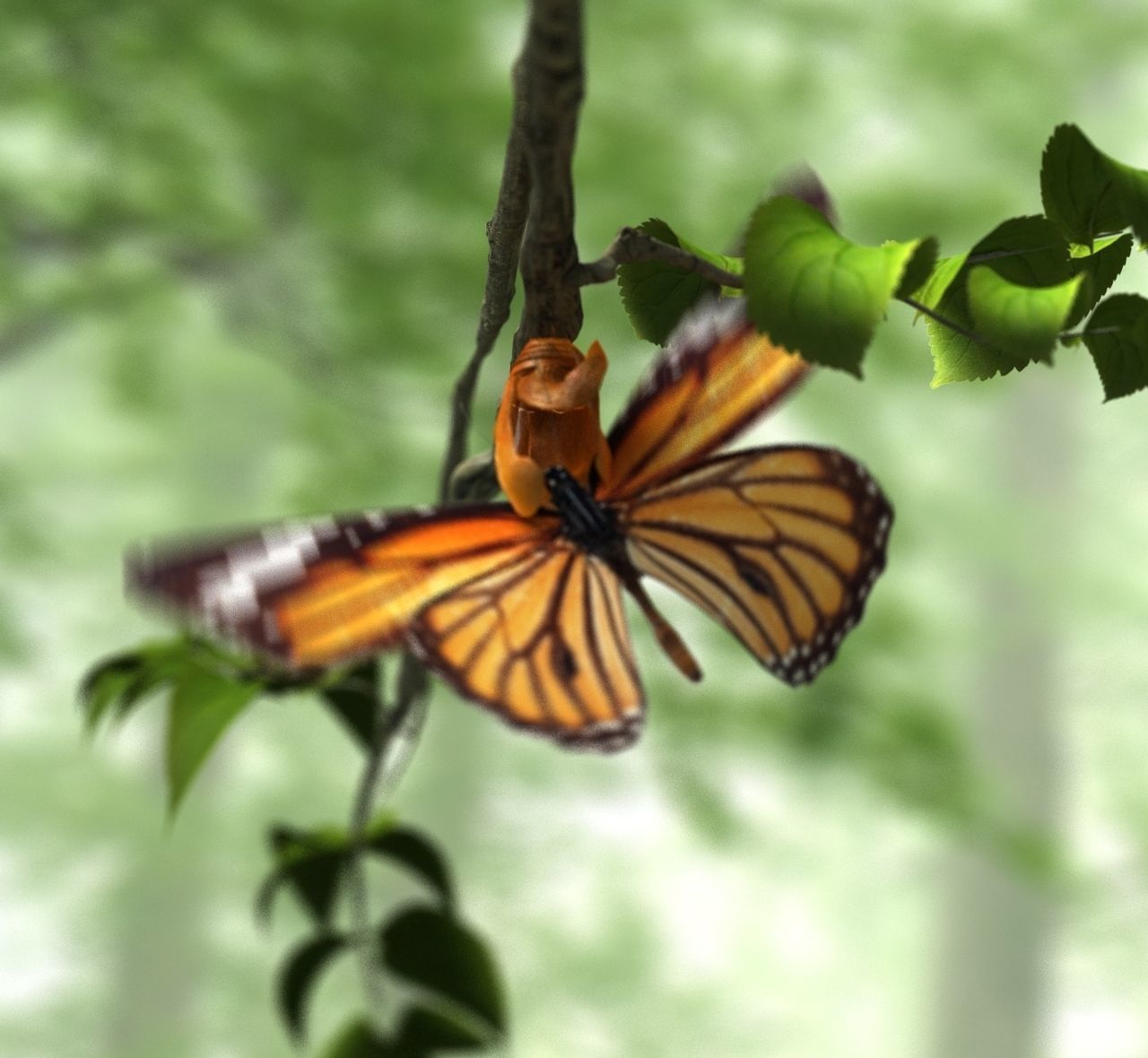 butterfly broken chrysalis 3D model_6