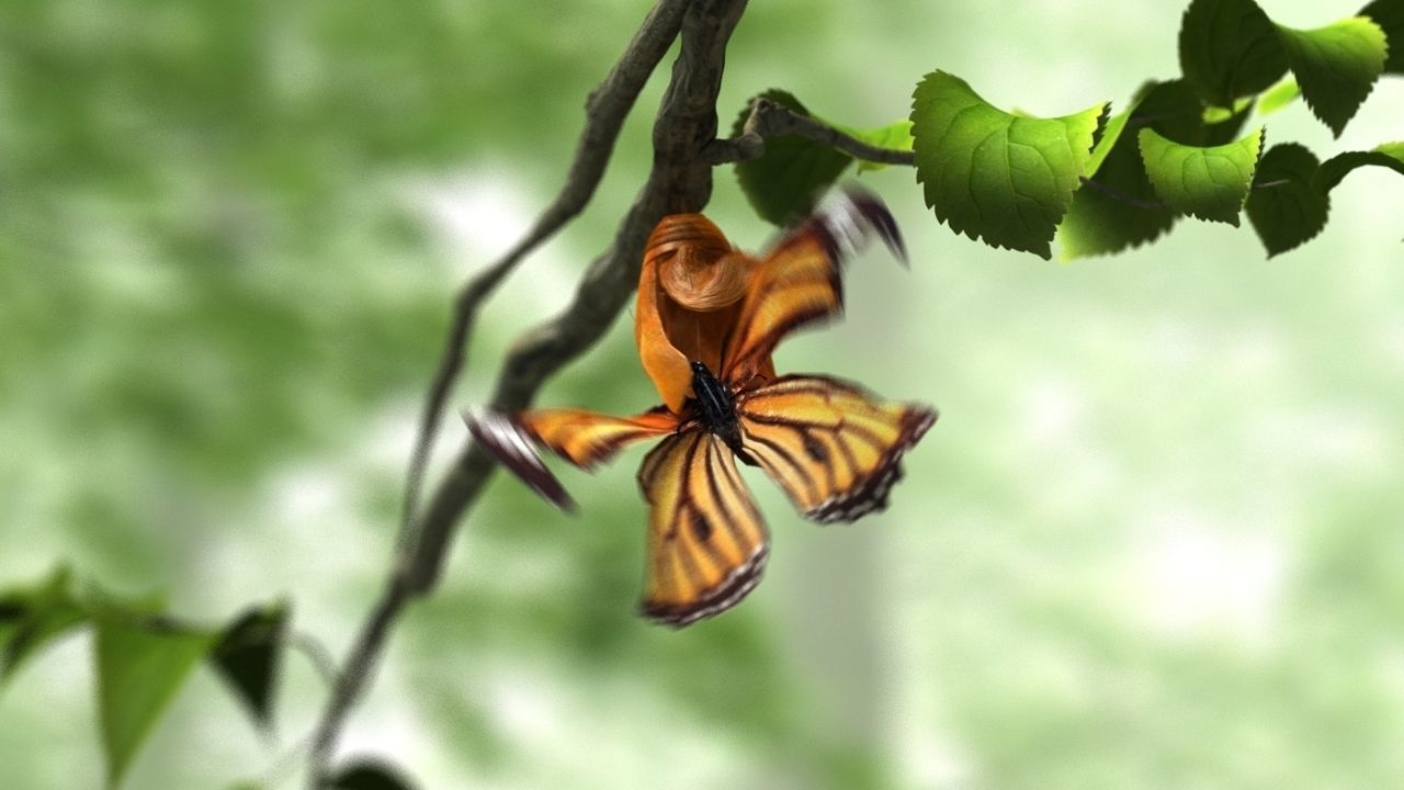 butterfly broken chrysalis 3D model_4