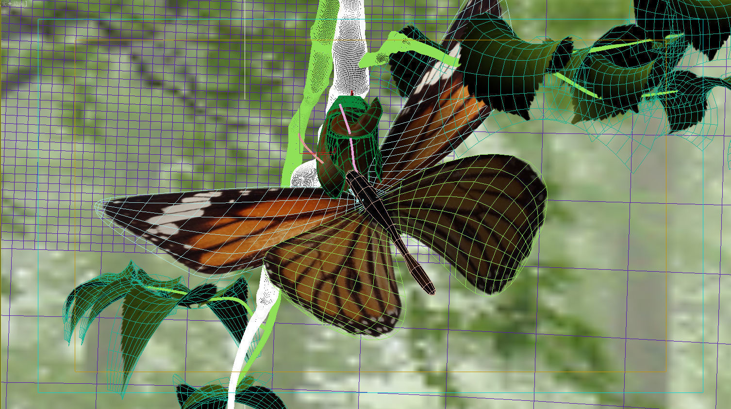 butterfly broken chrysalis 3D model_12