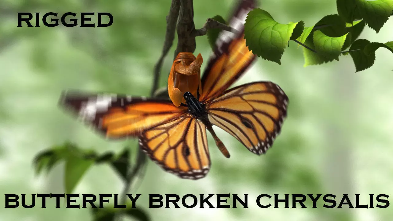 butterfly broken chrysalis 3D model_0