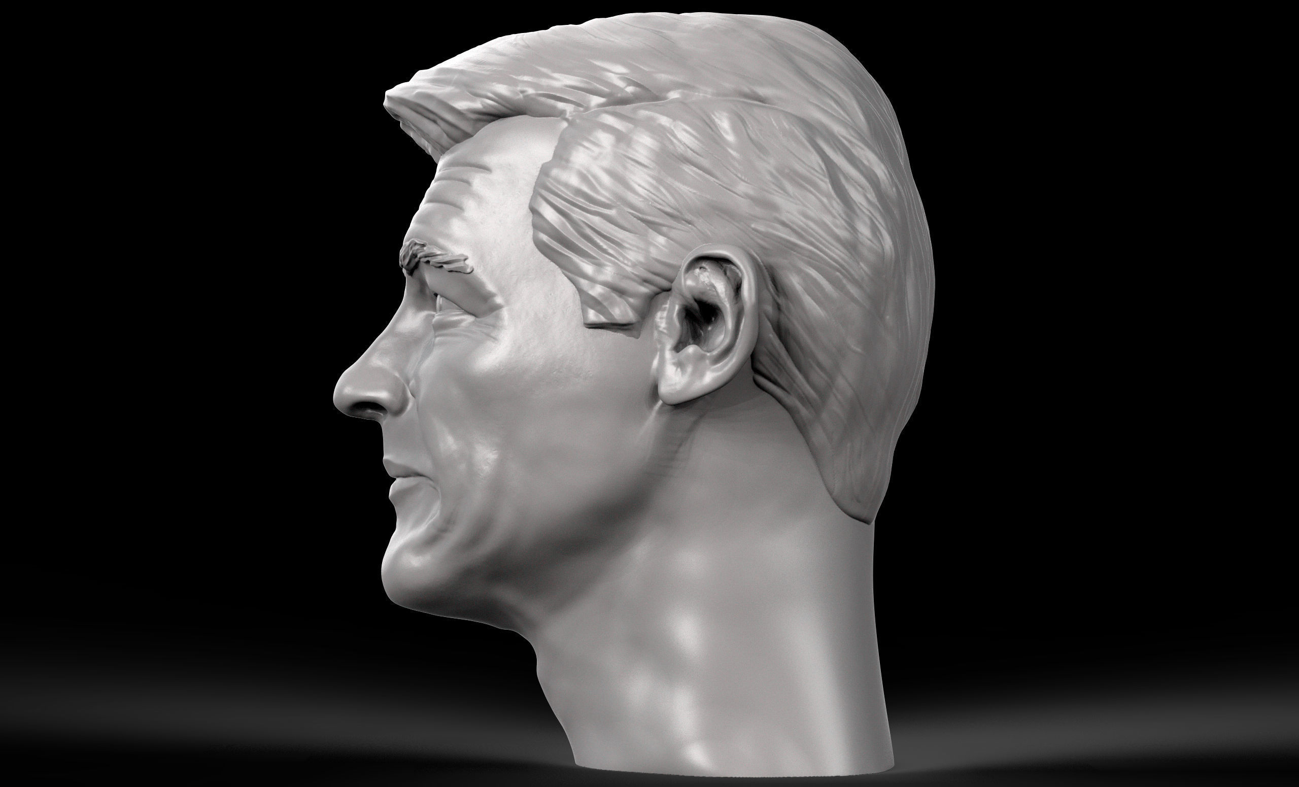 Roger Moore 3d printable portrait  3D print model_3