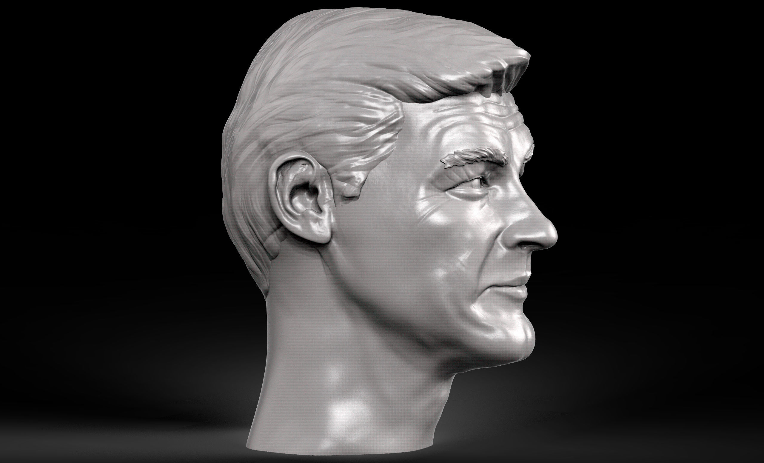 Roger Moore 3d printable portrait  3D print model_2