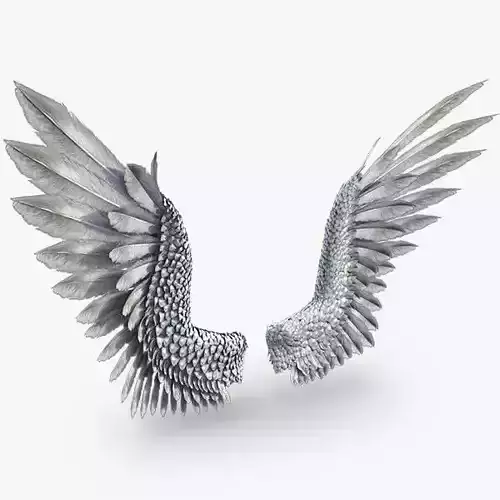 Pair of Bird  Wings 3DS Max Low-poly 3D model