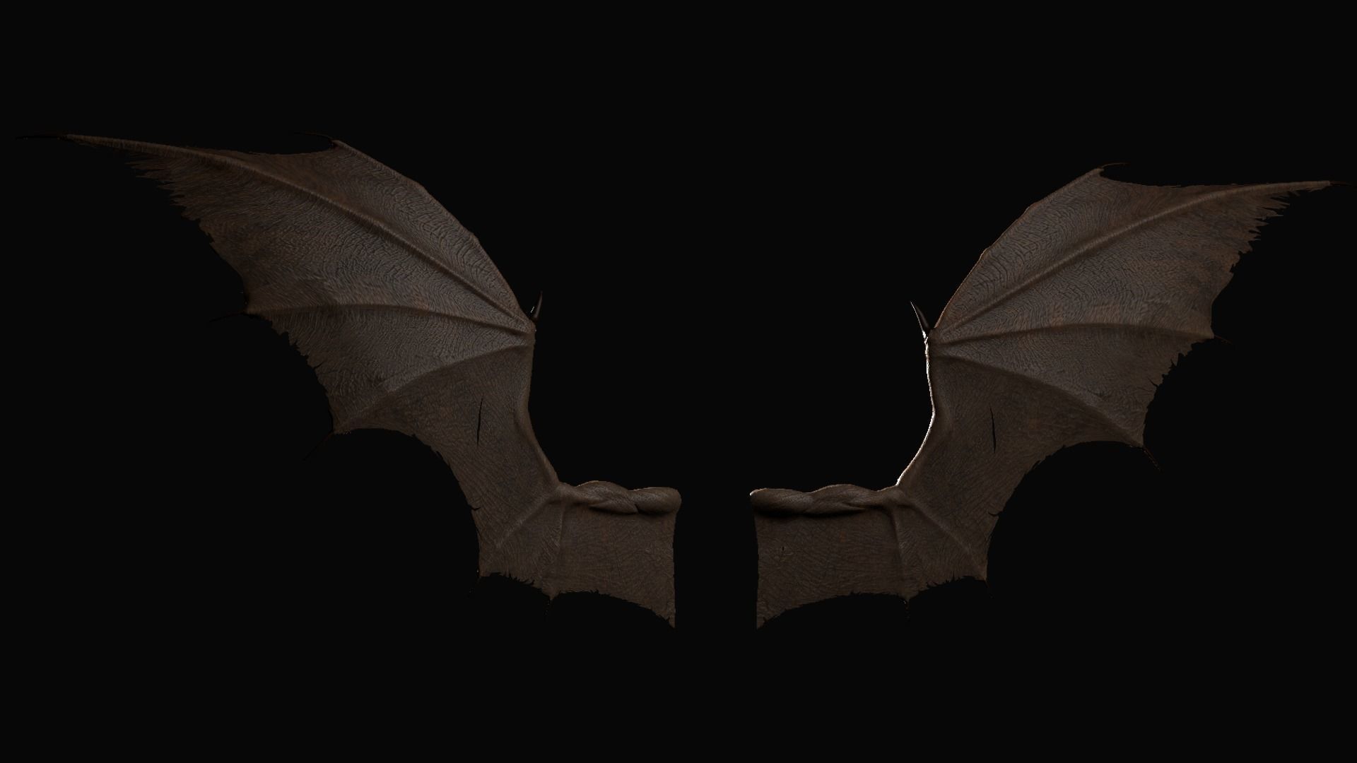 Pair of Bat Wings C4D Low-poly 3D model_2