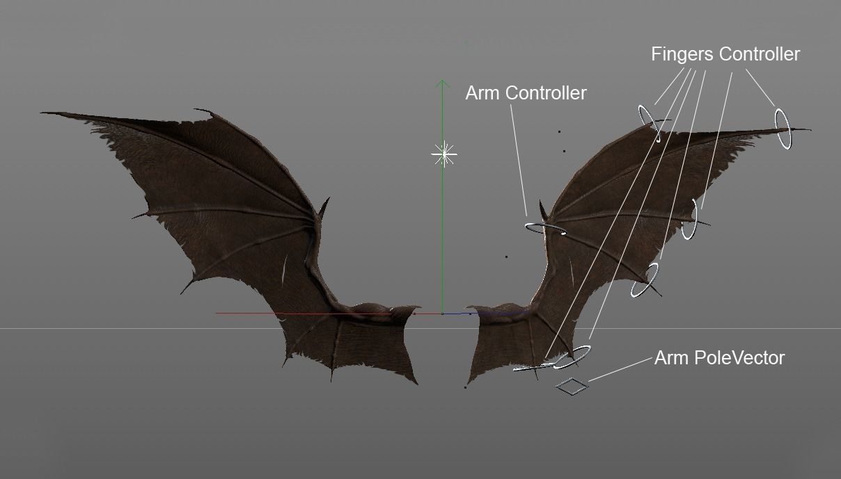 Pair of Bat Wings C4D Low-poly 3D model_5
