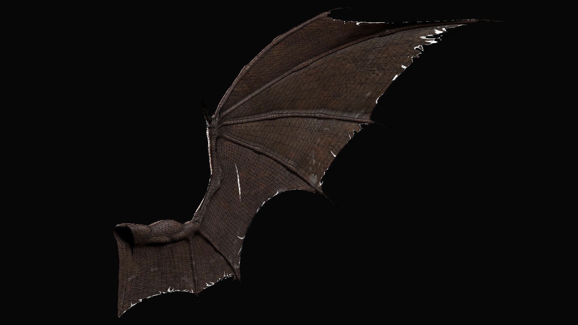 Pair of Bat Wings C4D Low-poly 3D model_4