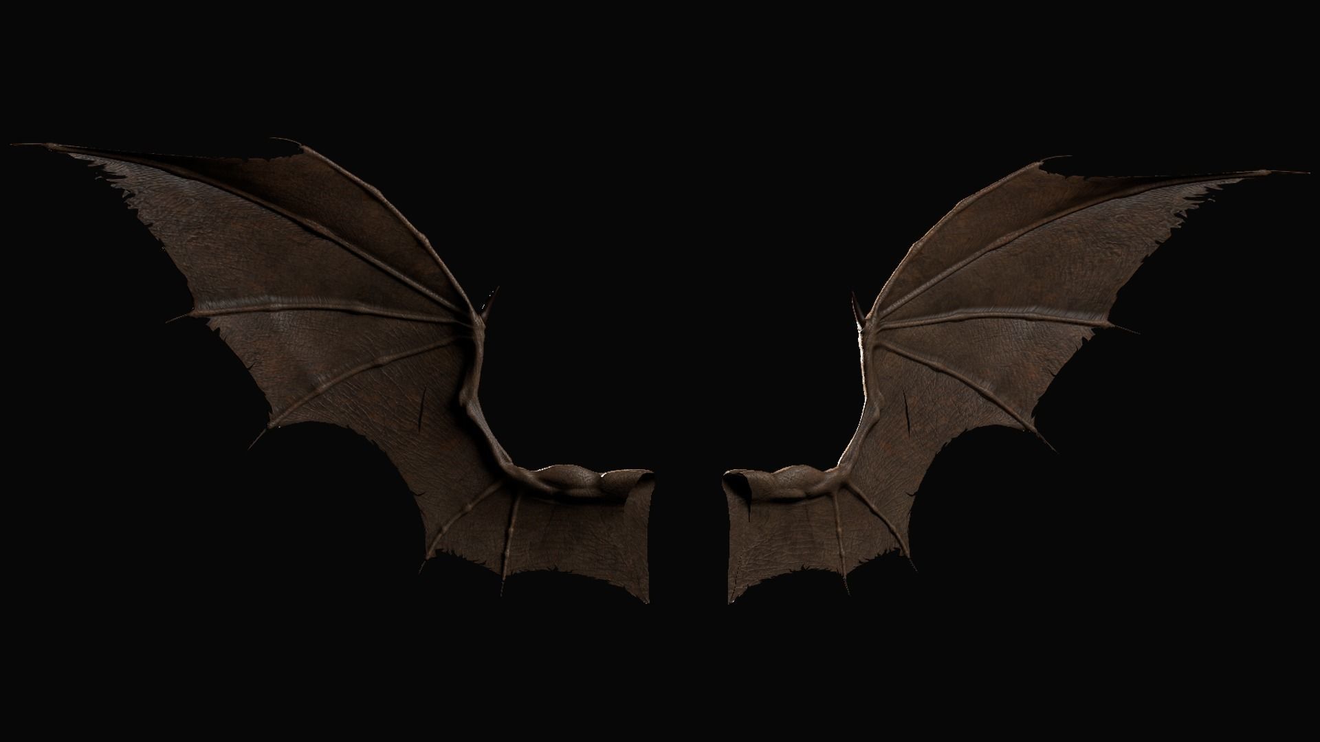 Pair of Bat Wings C4D Low-poly 3D model_1