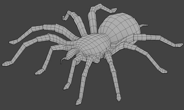 Spider Base Mesh  Low-poly 3D model