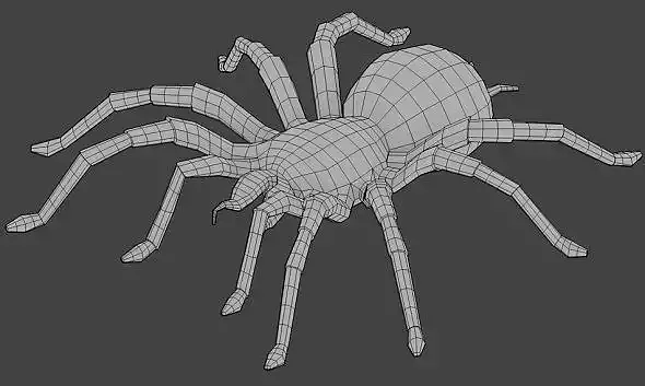 Spider Base Mesh  Low-poly 3D model