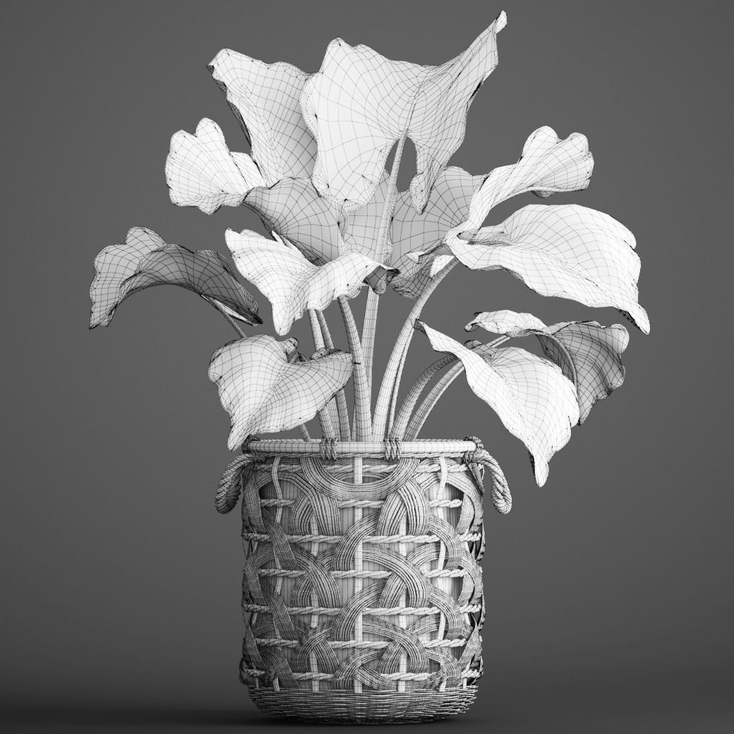 Tropical plant in pot 3D model_5